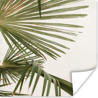Poster Palmbladeren - Groen - Natuur - 100x100 cm XXL