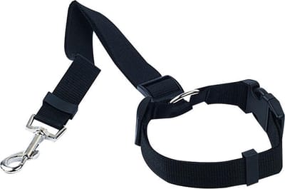 Igoods Hondengordel - 2-in1 Hondenriem - Veiligheidsgordel - Verstelbaar - Nylon - Zwart