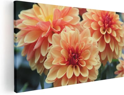 Artaza Canvas Schilderij Dahlia's - 40x20 cm - Klein - Wanddecoratie Bloemen - Muurdecoratie Woonkamer - Schilderijen Op Canvas