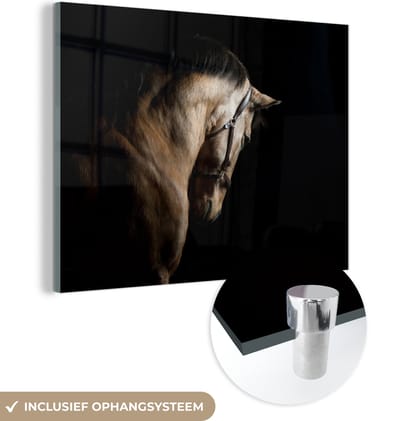 MuchoWow® Glasschilderij 120x90 cm - Schilderij acrylglas - Paarden - Halster - Zwart - Foto op glas - Schilderijen