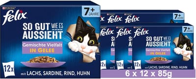 FELIX Zo lekker als het eruit ziet Gemengde variatie Senior (6 x 12 x 85g)