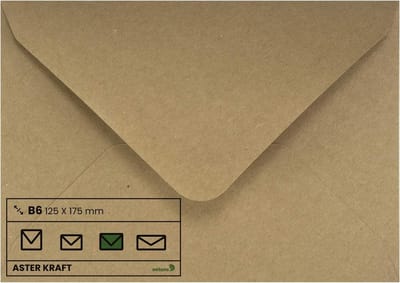 Kraft Enveloppen - Papieren Brievenbussen - Kaarten Versturen - Milieuvriendelijk Papier - 100 Stuks B6 - Natuurlijk Bruin