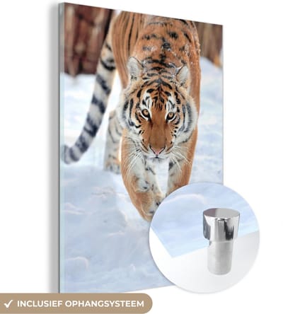 MuchoWow® Glasschilderij 30x40 cm - Schilderij acrylglas - Tijger - Sneeuw - Dieren - Foto op glas - Schilderijen