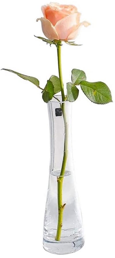 Dailygoods- Glazen Vaas - Handgemaakt Mondgeblazen - Bloemenvaas voor 1-2 Boeketten - Stabiele Basis - Decoratie voor Thuis/Kantoor - Kristalhelder Glas