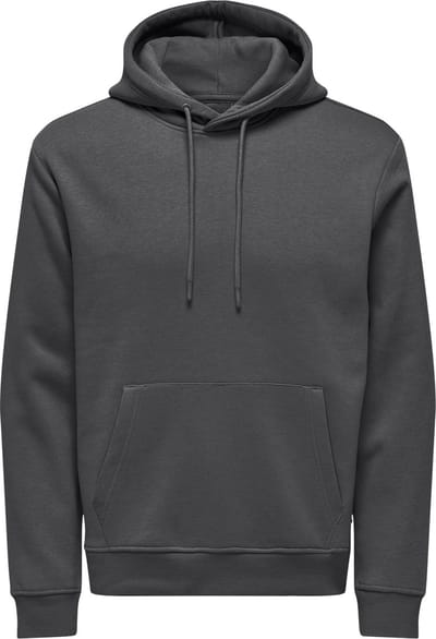 ONLY&SONS - ONSCONNOR LIFE REG SWEAT HOODIE NOOS - Heren - Sweaters