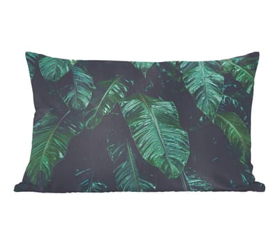 Sierkussens - Kussentjes Woonkamer - 50x30 cm - Jungle - Palmboom - Bladeren - Tropisch