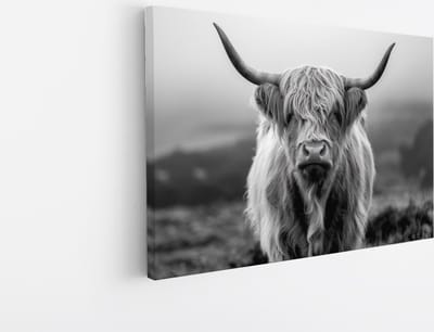 Saammp Canvas Schilderij - Schotse Hooglander Koe op de hooglanden - Dieren - Natuur - 45x30 - Foto op canvas - Wanddecoratie - muurdecoratie Woonkamer - Slaapkamer decoratie - Canvas Print