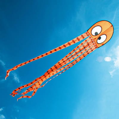 Octopus Vlieger - Kindervlieger Vliegend Speelgoed - Buiten Spelen - Compleet Vliegklaar - 50 x 200 cm - Rood