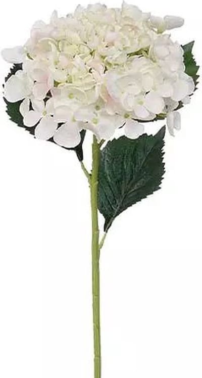 Hortensiatak Cream 52 cm kunstplant