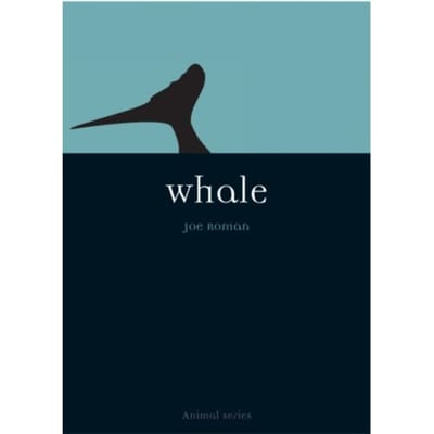 Whale - Animal - Joe Roman