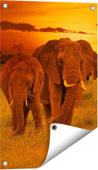 Gards Tuinposter Olifanten in het Wild - Zonsondergang - 40x60 cm - Tuindoek - Tuindecoratie - Wanddecoratie buiten - Tuinschilderij
