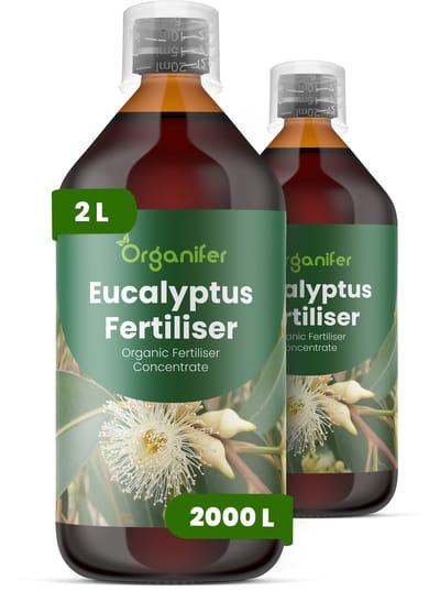 Vloeibare Meststof Voor Eucalyptus - 2X1 L Voor 2000 L - Npk 3-4-3 - Krachtige Groei - Sterke Wortels - Droogteresistentie - Scheutontwikkeling - Bladkleurintensiteit - Hittebestendig - Windbestendig - Aromatische Bladkwaliteit - Organifer