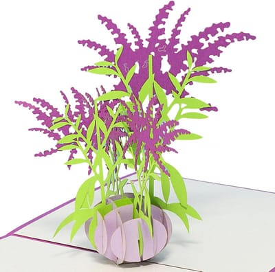Pop-up Kaart - Bloemenkaart Verjaardag - Gefeliciteerd Versturen - 3D Bloemenvaas - A6 Formaat - Lila