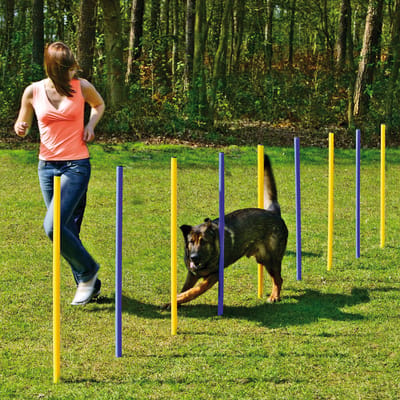 Agility Slalomset Palenset Professioneel - 6 Palen Trainingspalen - Slalompalen - Slalom Stokken - Honden Training Sport en Wedstrijd - Agility en Behendigheid Hond - Outdoor Agility Toestel