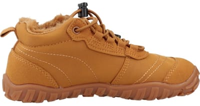 SAGUARO WILL II Bruin 29 EU