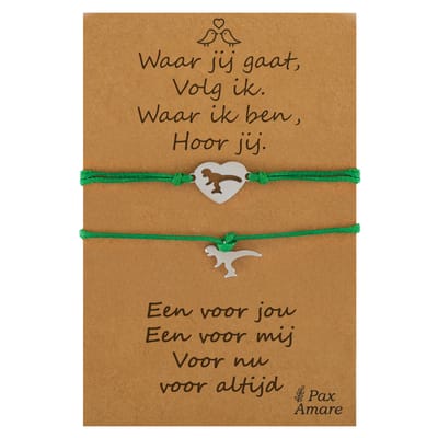 Vriendschapsarmbandjes voor 2 "Waar jij gaat, volg ik" - Verschillende Dino's - BFF Armbandjes met Persoonlijk Cadeau Kaartje - Zilverkleurig & Groen - Elastisch Verstelbaar - Pax Amare