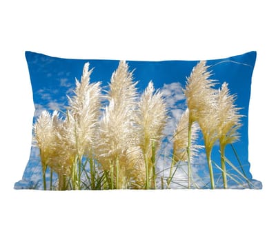 Sierkussens - Kussentjes Woonkamer - 50x30 cm - Pampasgras - Plant - Natuur