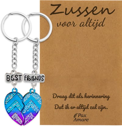 BFF Sleutelhanger voor 2 'Zussen voor altijd' - Magnetisch Best Friends Hartje - Sleutelhanger set op Cadeau Kaartje Sleutelhanger set - Zilverkleurig - Vriendschap Symbool - Pax Amare