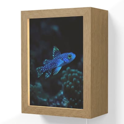 Wandlamp 15x20 cm - Oplaadbaar - Vis - Stippen - Koraal - Blauw - Wandlampen binnen woonkamer - Slaapkamer lamp met kabel - Decoratieve nachtlamp - Vloerlamp snoer
