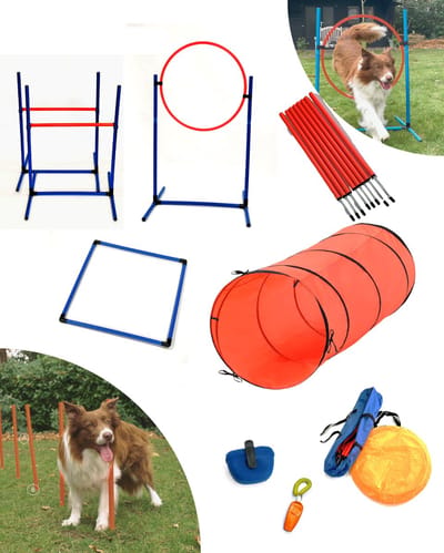 Honden Agility Set 18-Delig – Hondentunnel, Slalom Palen & Horde – Complete Behendigheid Training Set voor Honden – Inclusief Fluitje, Beloningszakje & Draagtas