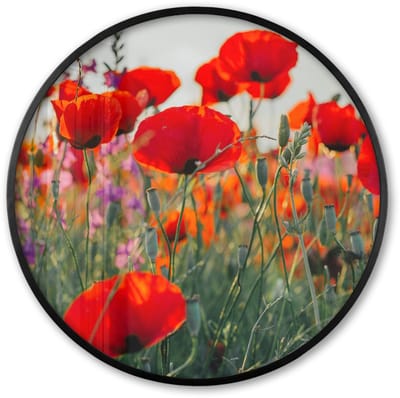 Poster in lijst Rond - Fotolijst 60x60 cm - Posters - Klaproos - Bloemen - Rood - Paars - Weide - Ronde posterlijst zwart - Decoratie - Wanddecoratie woonkamer - Muurdecoratie slaapkamer
