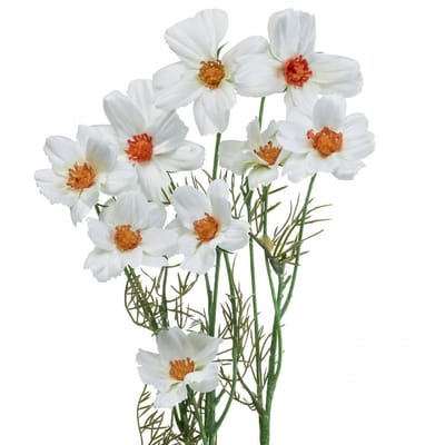 Kunstbloemen Cosmea witte zijden bloemen H51cm 3 st