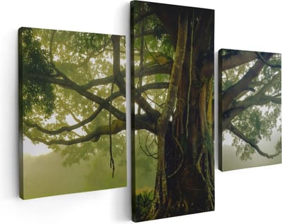Artaza Canvas Schilderij Drieluik Grote Levensboom Met Veel Takken - 90x60 - Foto Op Canvas - Canvas Print