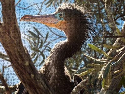 Puzzel 3000 stukjes - Houten puzzel - Ontspannende hobby - Nauwsluitende stukjes - 81x122 cm - Gekleurd