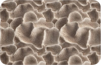 Badmat 60x40 cm - Antislip - Waaiervorm - Beige - Vezel textuur - Badmatten voor badkamer - Badkamermat - Douchemat - Badkamer mat