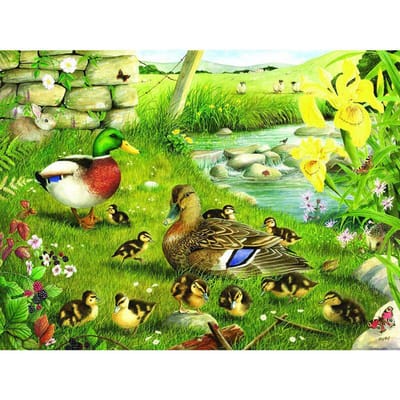 5D Doe-het-zelf Diamantschilderij Eenden in de Tuin Volledig Rond Diamant Borduurwerk Kruissteek Strass 20X30CM yellow