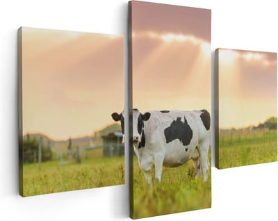Artaza Canvas Schilderij Drieluik Zwart Wit Koe In De Wei Bij Zonsopkomst - 90x60 - Foto Op Canvas - Canvas Print