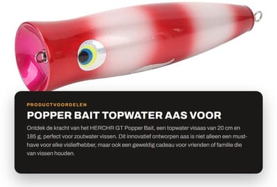 Dailygoods - Popper Bait - Topwater Aas voor Zoutwater Vissen - 20cm 185g - Vissen met Aas - Effectief bij het Vangen van Grote Vissen - Geschikt voor...