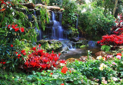 Fotobehang Waterfall Forest Nature | XL - 208cm x 146cm | 130g/m2 Vlies