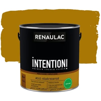 Renaulac Intention Muurverf - Extra Mat - Statement - 2,5l