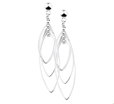 Zilveren Oorhangers 1012549