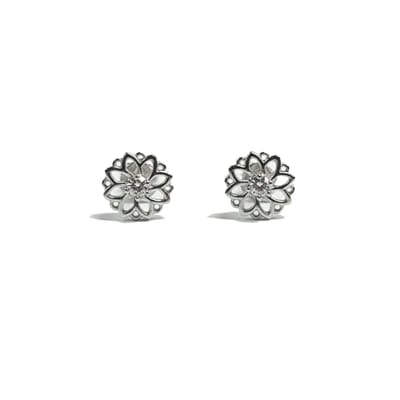 Dames IJskristal Oorbellen, 925 Sterling Zilver met Cubic Zirconia BIPE063