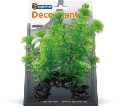 Superfish deco plant s cabomba