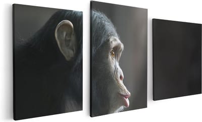 Artaza Canvas Schilderij Drieluik Verbaasde Aap Vanaf De Zijkant - 120x60 - Foto Op Canvas - Canvas Print