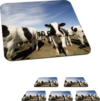 Onderzetters voor glazen - Koe - Zand - Dieren - 10x10 cm - Glasonderzetters - 6 stuks
