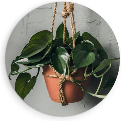 Saammp Muurcirkel Hout - Hangplant Hartvormige Bladeren - Natuur - Abstract - Ø 90 - Wandcirkel - Wanddecoratie Cirkel - Muurdecoratie Woonkamer - Kantoor Decoratie