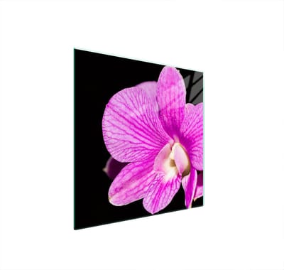 TMK ArtDeko Serie - Glazen Beschermplaat Fornuis - 50x52 cm - Orchidee Motief