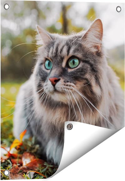 Gards Tuinposter Kat met Groene Ogen op het Gras - 40x50 cm - Tuindoek - Tuindecoratie - Wanddecoratie buiten - Tuinschilderij