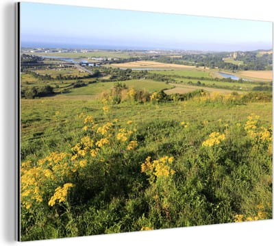 Aluminium schilderij 180x120 cm - Wanddecoratie metaal - Geel struikgewas op het landschap van het Nationaal park South Downs - Metalen muurdecoratie woonkamer - Decoratie industrieel - Foto op dibond - Industriële accessoires slaapkamer