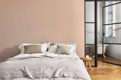 Levis - Expert Muur Binnen Mix - Clear Orange A20 - Mengverf - 10 L