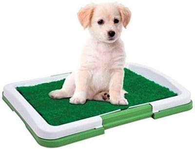 Honden Toilet - Puppy Plasplek - Zindelijkheidstraining Thuis - Gazon Imitatie Oppervlak - 46 x 34 x 5 CM - Groen