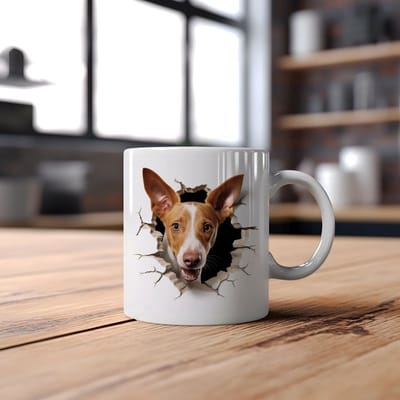 Mok Podenco Ibicenco