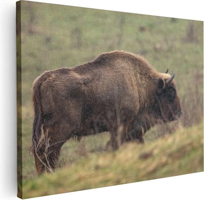 Artaza Canvas Schilderij Bizon - 80x60 cm - Wanddecoratie Dieren - Muurdecoratie Buffel - Schilderijen Op Canvas