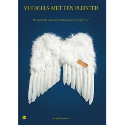 Vleugels Met Een Pleister - Marije Pietersma
