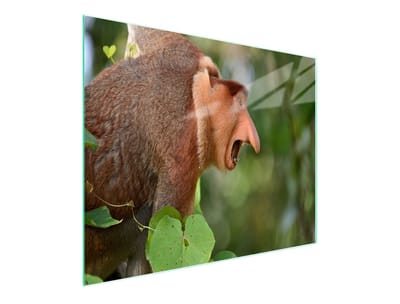 TMK ArtDeko Serie - Glazen Snijplank - 52x30cm - Hittebestendig - Antislip