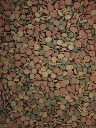Mini Wafels Mix